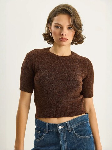 Bianco Lucci Pullover 'Pullover'‌‌‌‌‌‌‌‌‌‌ in Braun