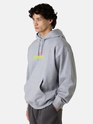 THE NORTH FACE Mikina 'Expedition' - Sivá