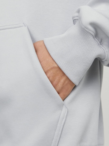 Felpa di JACK & JONES in grigio