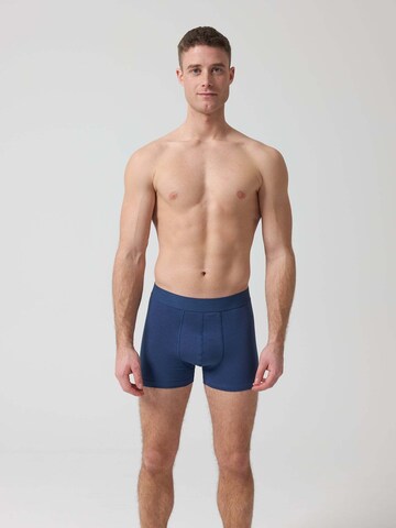 SNOCKS Boxer shorts in Blue