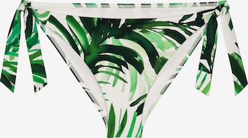 TRIUMPH Bikini bottom ' Red Label Summer Palm ' in Green: front