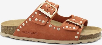 Mule Grunland en marron : devant