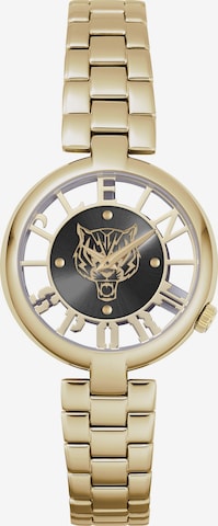 Plein Sport Analoog horloge ' TIGER LUXE ' in Goud: voorkant