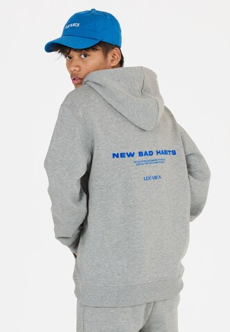 Les'Arcs Sports sweatshirt 'Derbe' in Grey: front
