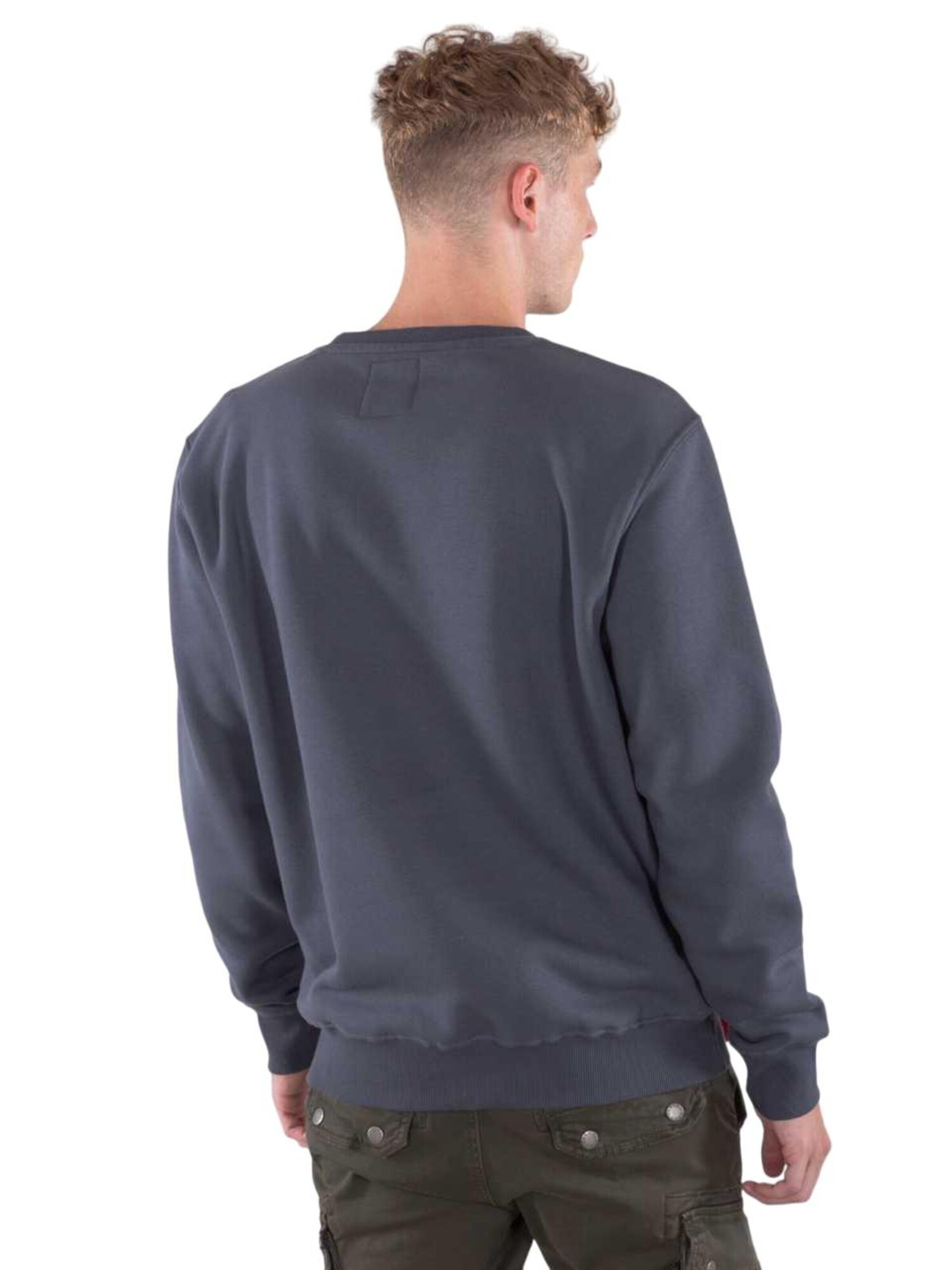 ALPHA INDUSTRIES Sweatshirt 'Basic Small Logo'‌‌ in Grau