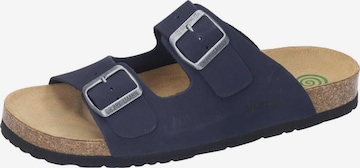 DR. BRINKMANN Pantolette 'BONILLO' in Blau: Vorderseite