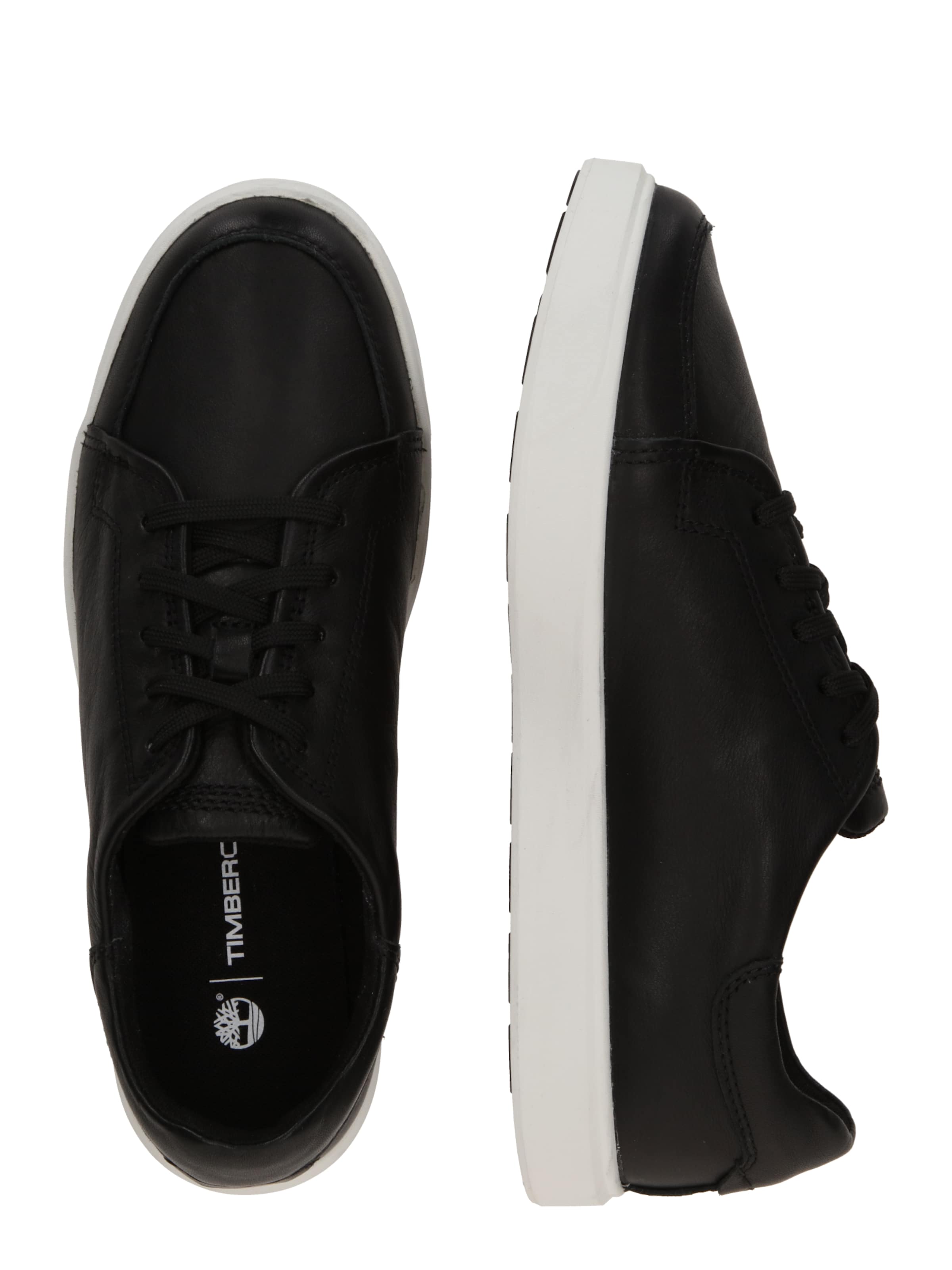 Sneaker bassa di TIMBERLAND in nero