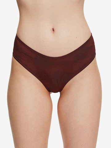 ESPRIT Panty in Brown: front