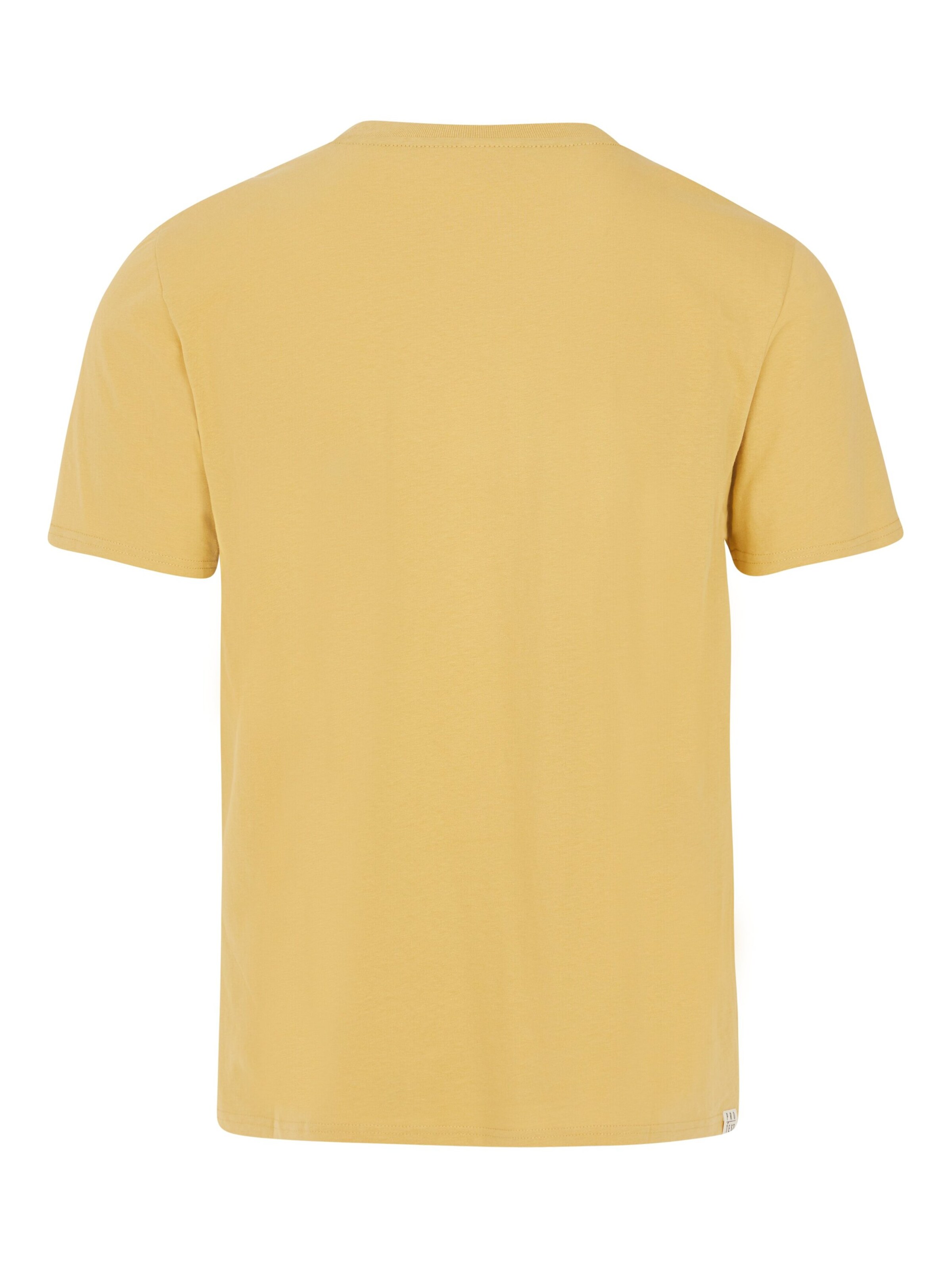 PROTEST Shirt 'PRTSTAN' in Geel