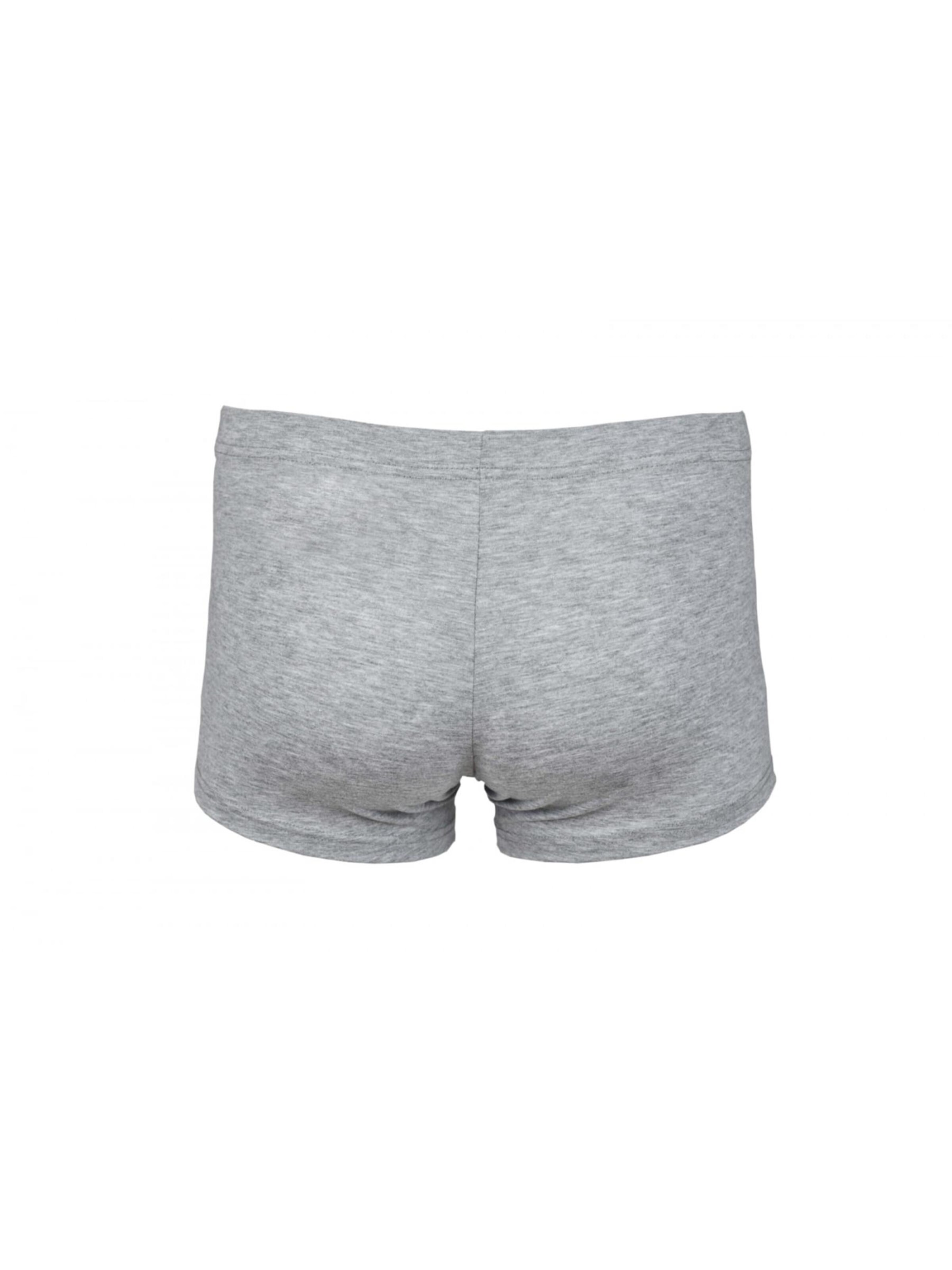 Maxte Boxer shorts 'BASIC MAX Boxershorts 5er Pack' in Grey