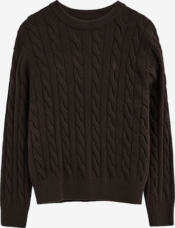 Polo Club Pullover 'RIGBY' in Braun: Vorderseite