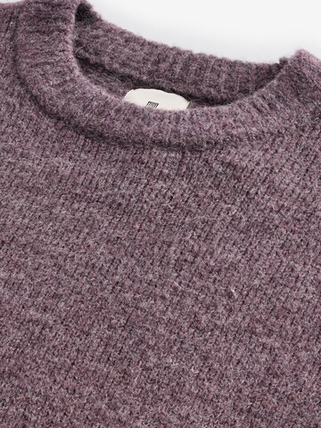 Next Trui in Lila