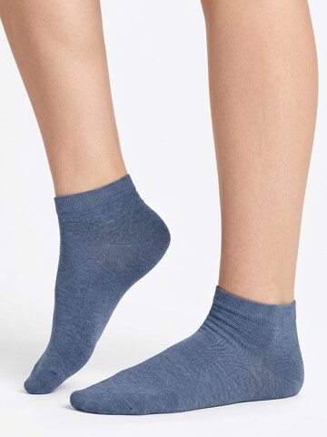 footstar Socks 'EVERYDAY!' in Blue: front