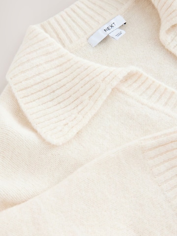 Next Sweater in Beige