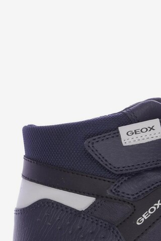 GEOX Sneaker 38 in Blau