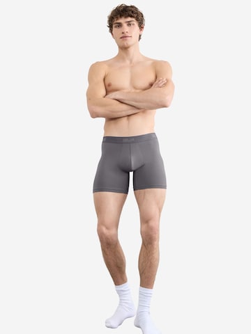 SLOGGI Boxershorts ' SLG Base ' in Grijs