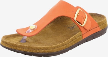 ROHDE T-Bar Sandals in Orange: front