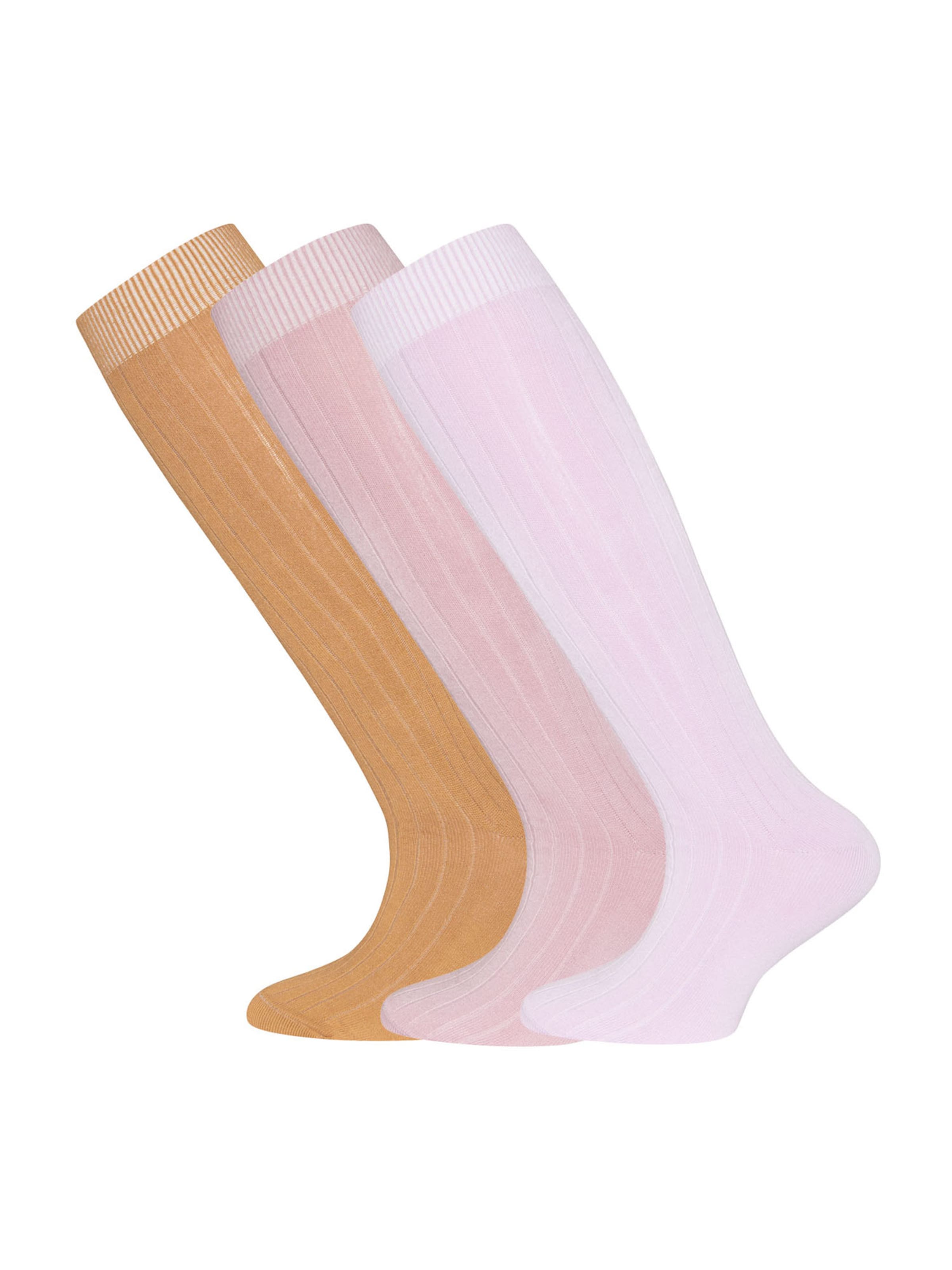 EWERS Socks in Brown: front