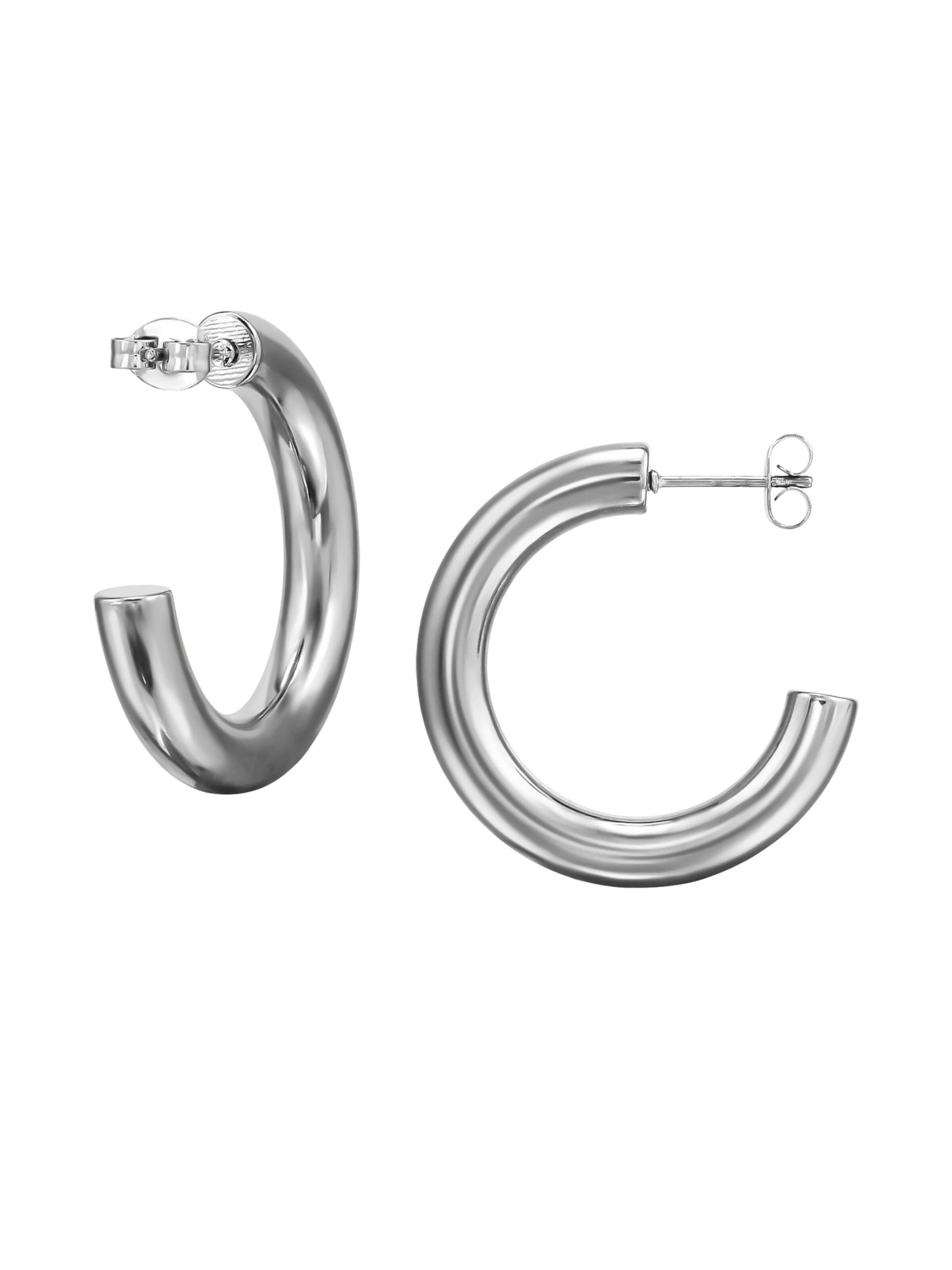 Maxte Earrings in Silver