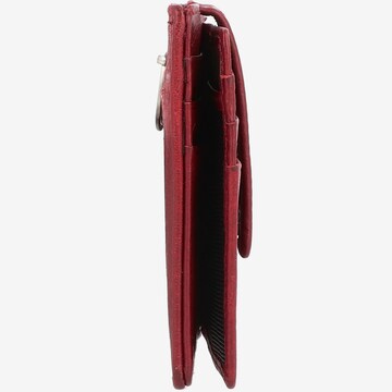 Esquire Etui in Rood