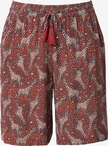Ulla Popken Shorts in Braun: Vorderseite