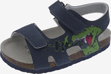 Chaussures ouvertes 'Francisco' CHICCO en bleu