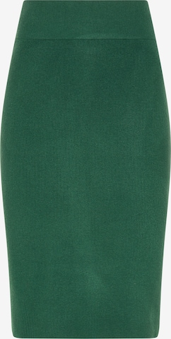 usha BLACK LABEL Skirt in Green: front