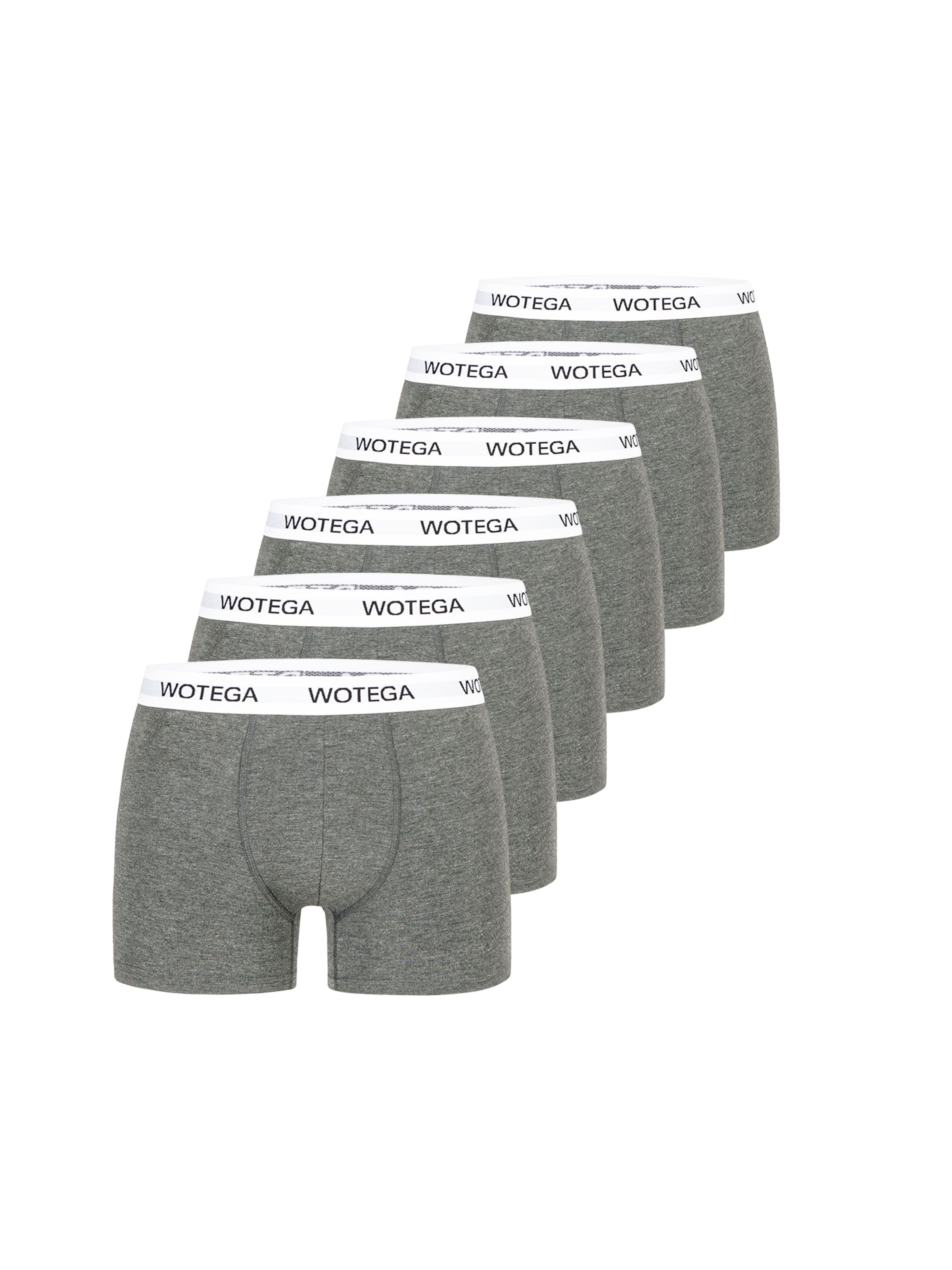 WOTEGA Boxer shorts 'Joe' in Grey: front
