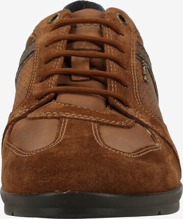 GEOX Sneakers laag 'Adrien' in Bruin