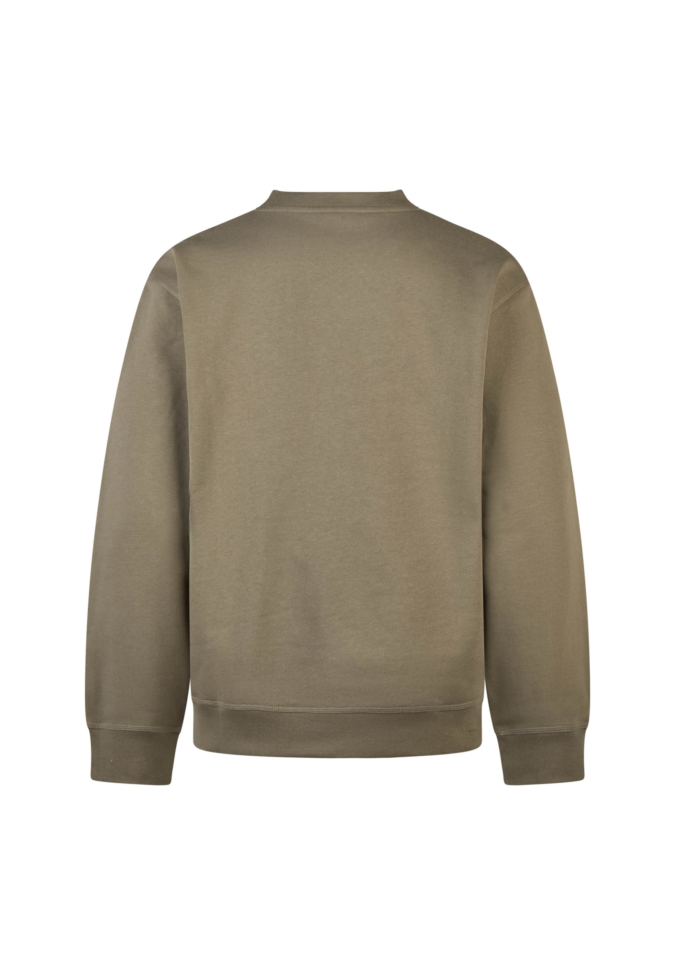 Cleptomanicx Pullover 'Sketch Gull' in Braun