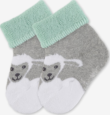 STERNTALER Socken 'Stanley' in Grau