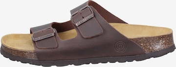 DR. BRINKMANN Mules 'Bonillo' in Brown: front