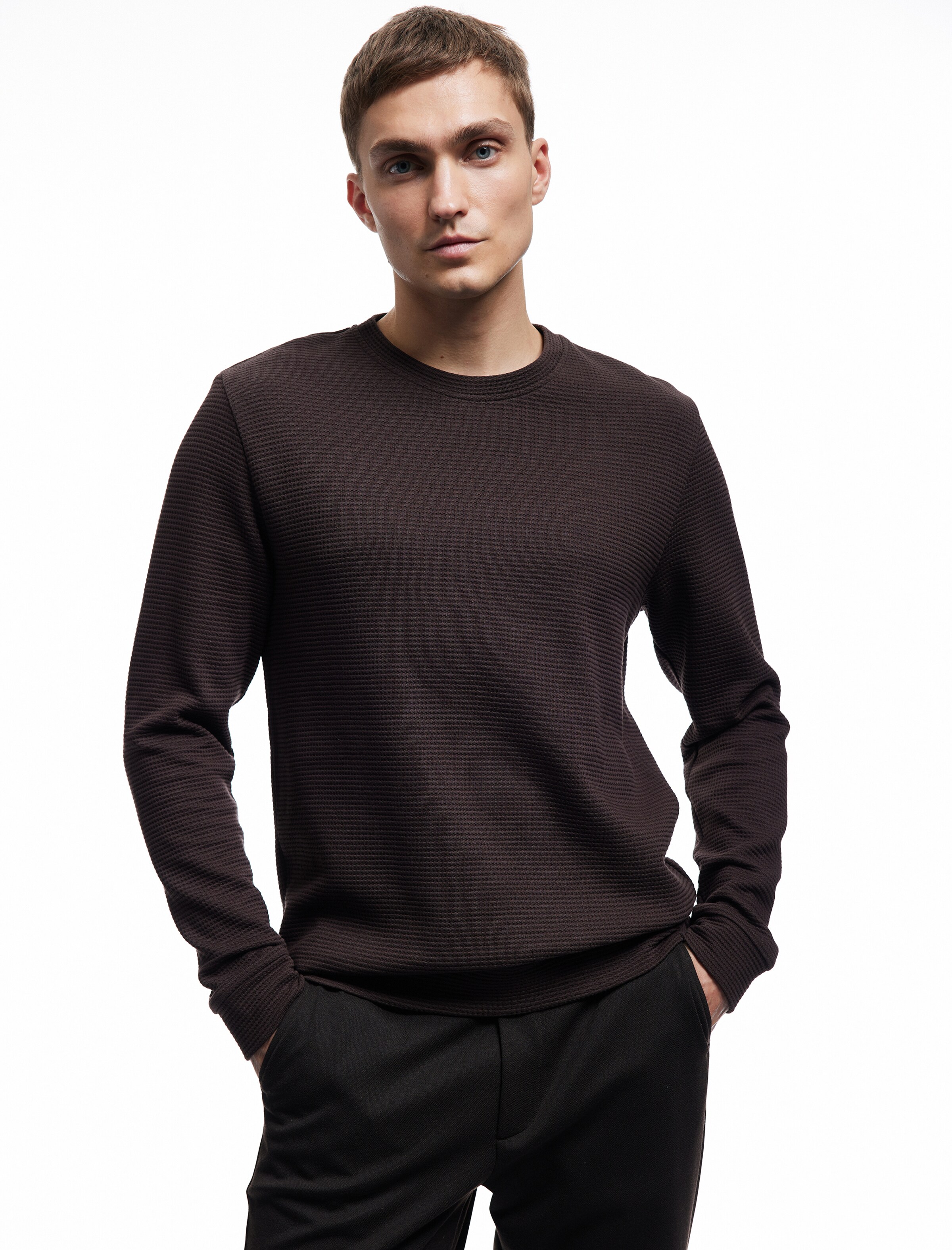 Koton Sweatshirt in Brown: front