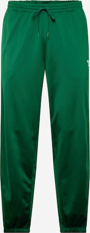 Reebok Обычный Спортивные штаны в Зеленый: спереди