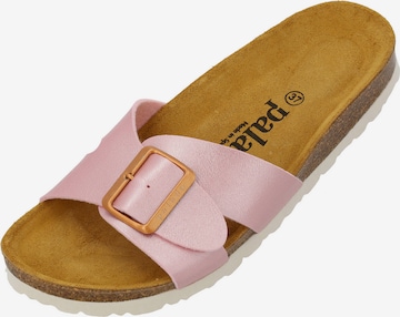 Palado Pistokkaat 'Tinos' värissä vaaleanpunainen: etupuoli