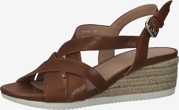 GEOX Strap Sandals in Brown: front