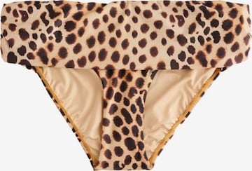 Next Низ бикини в Коричневый: спереди