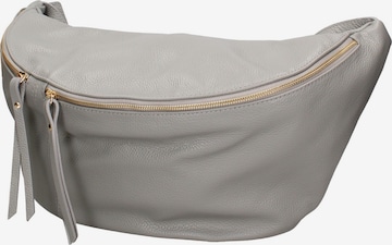 Gave Lux Shoulder Bag 'Caelia Plus' in Grey: front