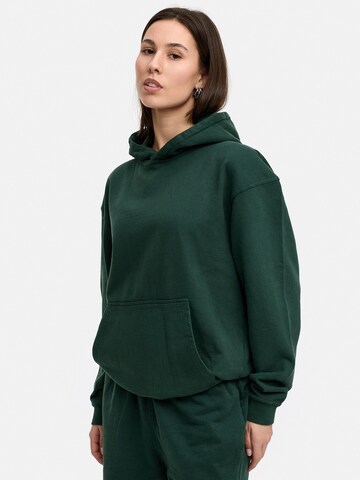 Daily Cotton Sweatshirt 'DCTERUEL' in Green