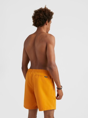 Pantaloncini da bagno di O'NEILL in giallo