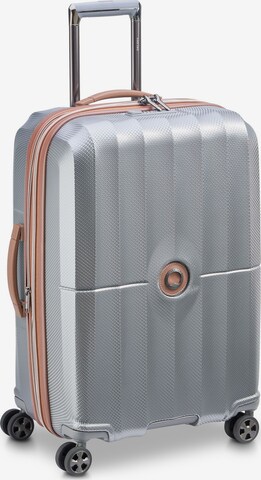 Delsey Paris Suitcase Set in Silver