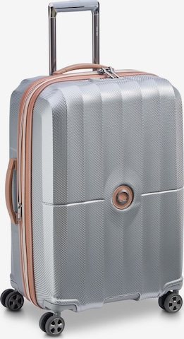 Delsey Paris Suitcase Set in Silver