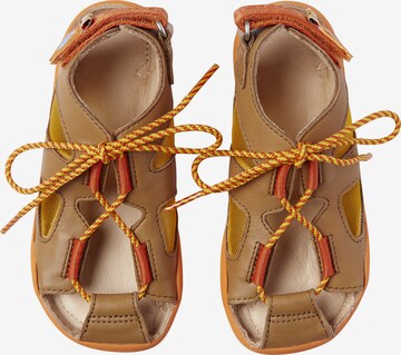 Affenzahn Sandals 'Löwe' in Brown