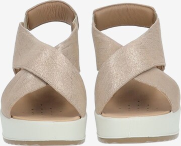 Sandales IGI&CO en beige