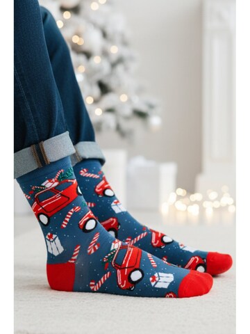 Sokisahtel - Calcetines 'MIIRA Christmas socks with cars' en azul: frente