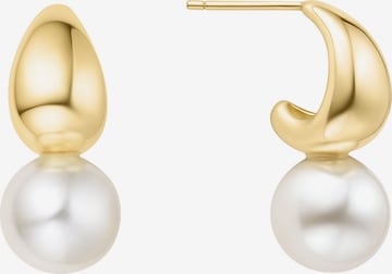 ANIA HAIE Ohrringe in Gold: Vorderseite