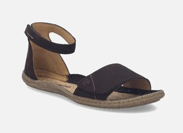 JOSEF SEIBEL Sandal in Brown