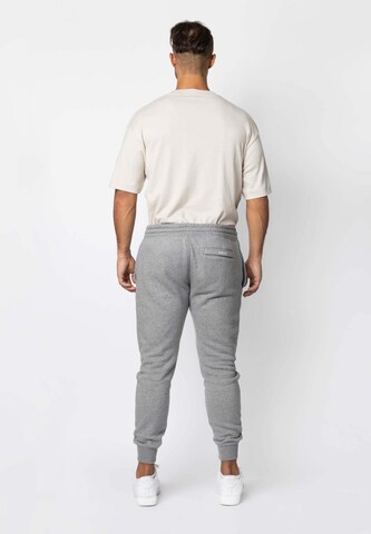 Effilé Pantalon SNOCKS en gris