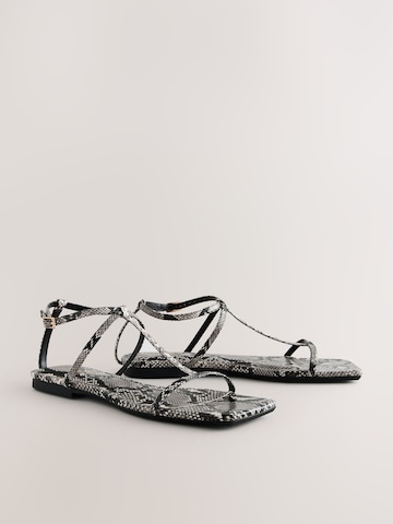 Next - Sandalias con hebilla 'Forever Comfort' en gris
