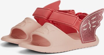 PUMA Sandały 'Divecat V2' w kolorze różowy
